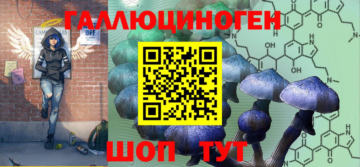 Россошь  Псилоцибиновые грибы Cubensis  Вход с VPN 