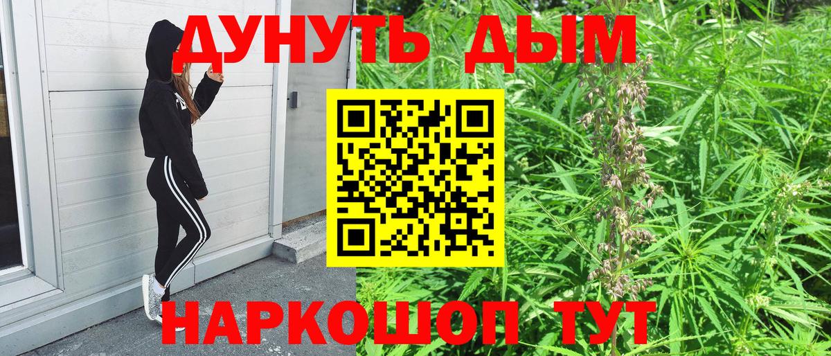 Бошки Шишки марихуана Россошь